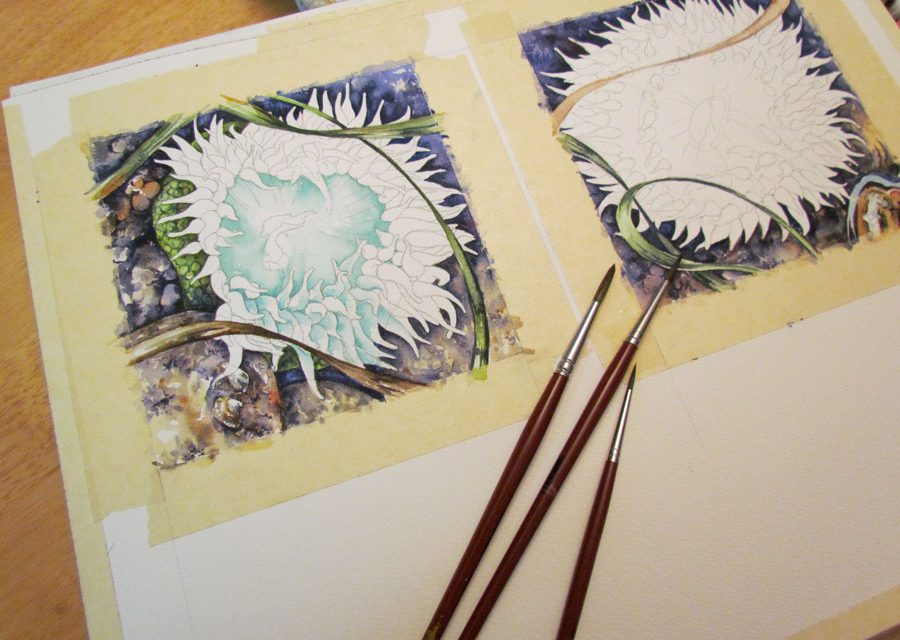 the watercolour process