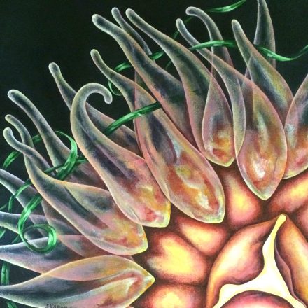 Detail of Nebula Anemone